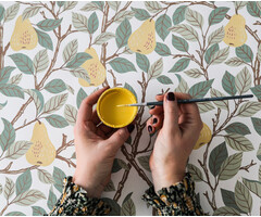 Angas - Pirum Yellow