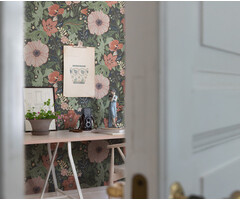 Angas - Victoria Grey