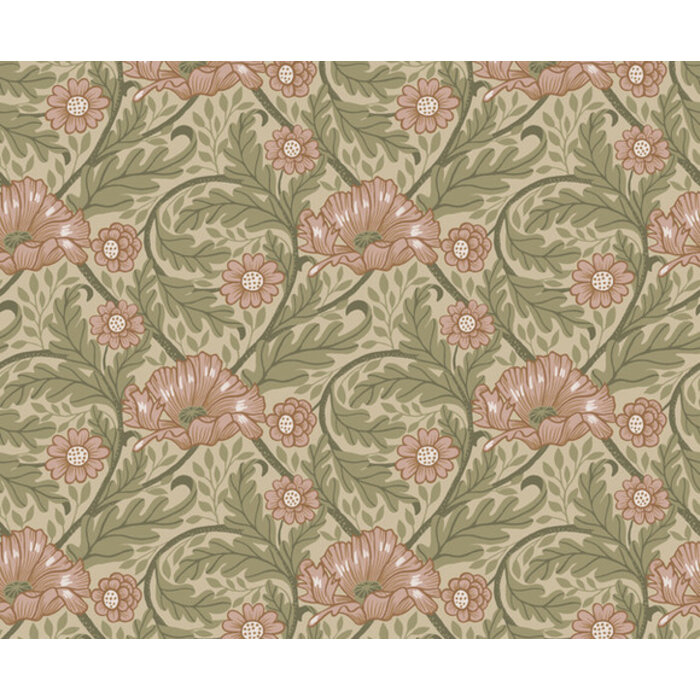 Angas - Esther Apricot