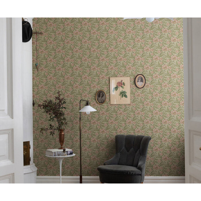 Angas - Esther Apricot