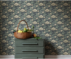 Angas - Esther Black