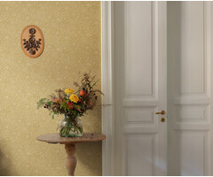 Angas - Wilma Yellow