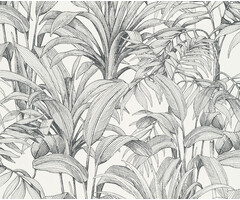 Asperia - Aliare wit/zwart