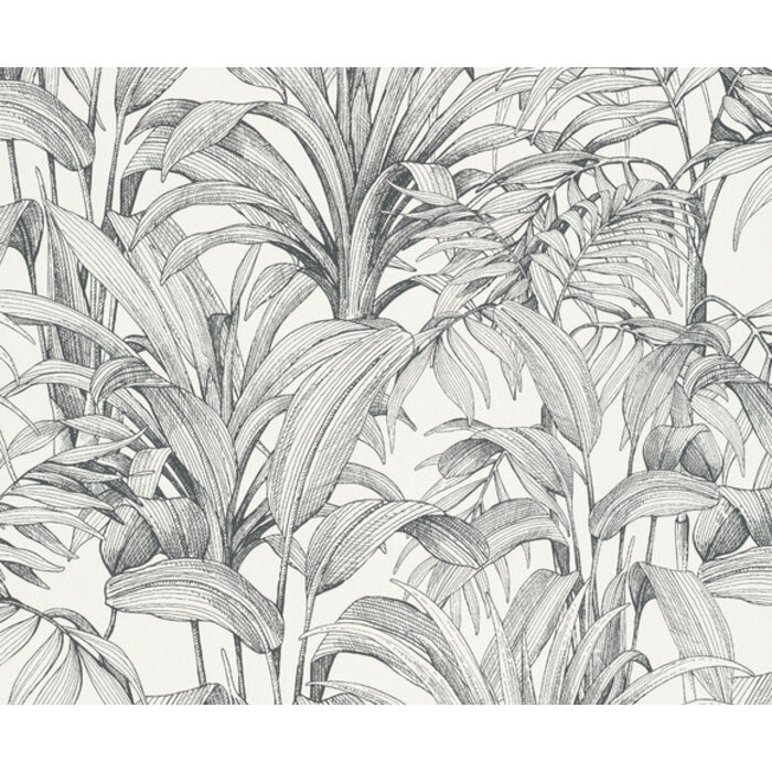 Asperia - Aliare wit/zwart