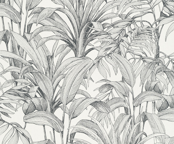 Asperia - Aliare wit/zwart