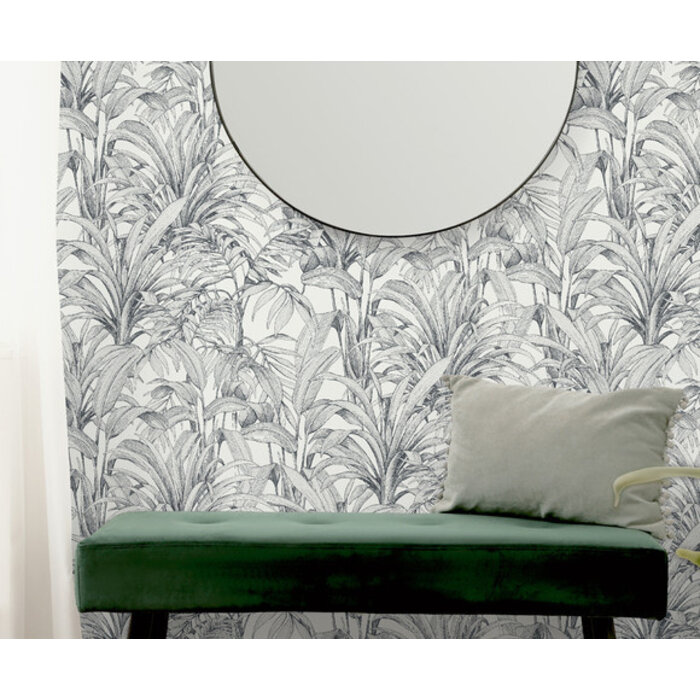 Asperia - Aliare wit/zwart