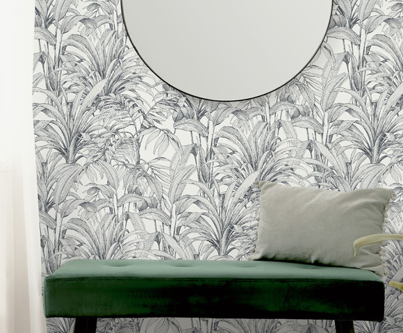 Asperia - Aliare wit/zwart