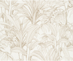 Asperia - Aliare wit/goud