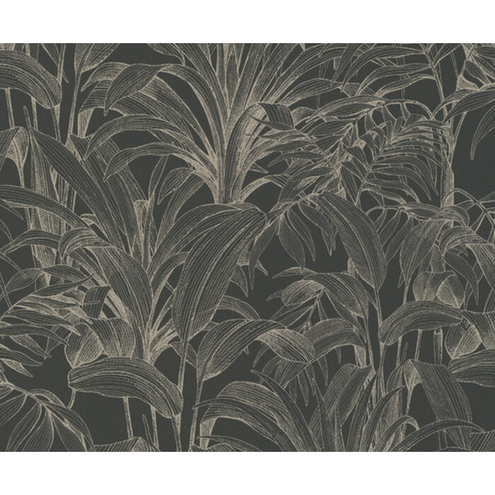 Asperia - Aliare zwart/zilver