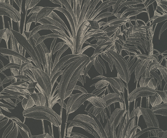 Asperia - Aliare zwart/zilver