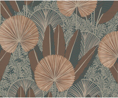 Asperia - Asperia bruin