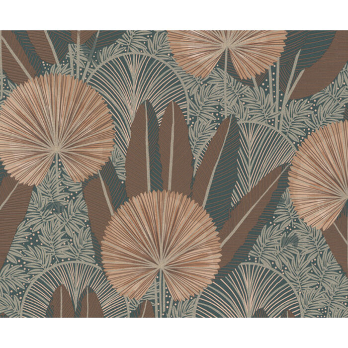 Asperia - Asperia bruin