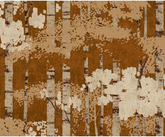 Ciara - Efferia bruin