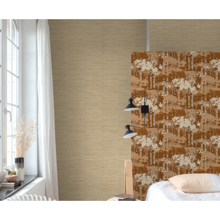 Ciara - Efferia bruin