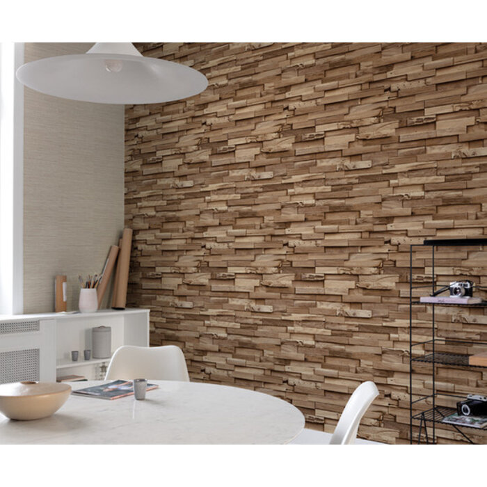 Ciara - Colorado bruin