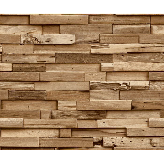 Ciara - Colorado bruin