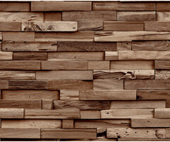 Ciara - Colorado bruin