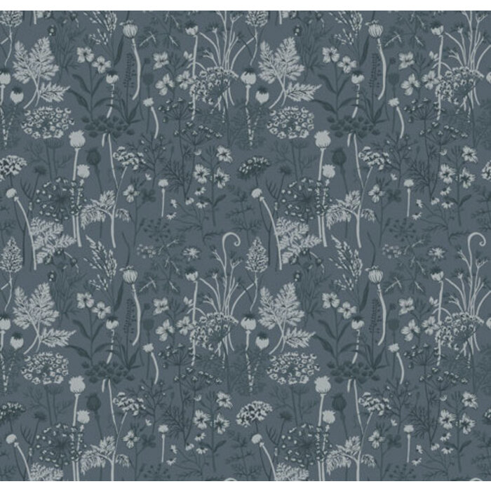 Havsblick - Dara Blue