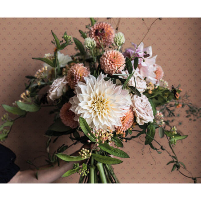 Apelviken - Lilja Blush