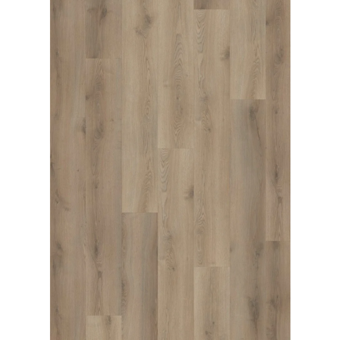 Hoomline Stilleven van Gogh 230 26m2 beschikbaar