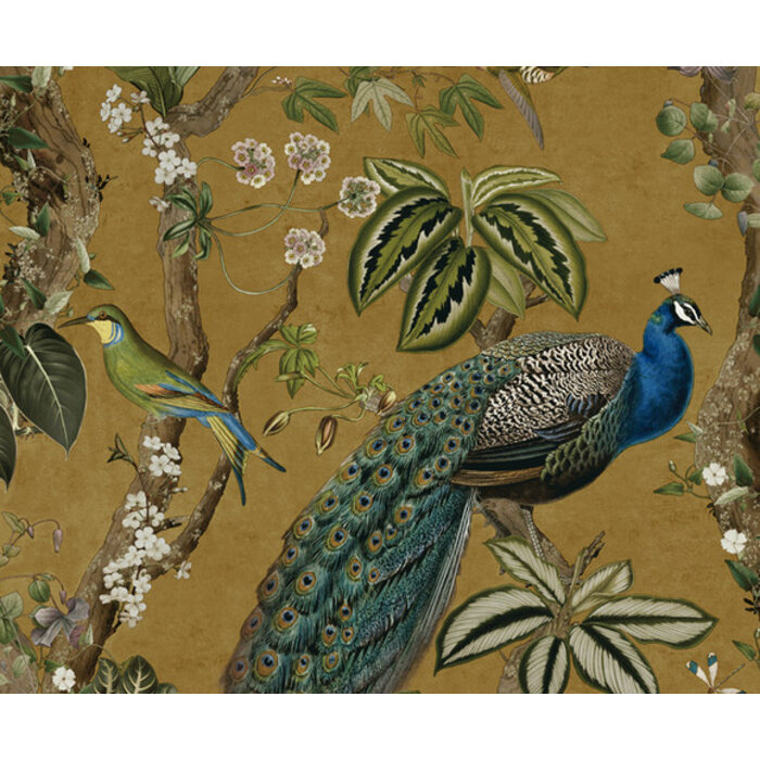 Arboretum - Cassia Ochre