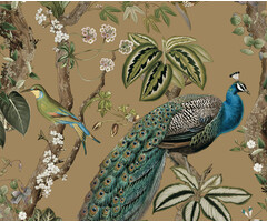 Arboretum - Cassia Gold