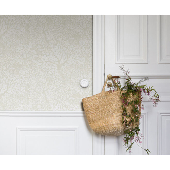 Hjarterum - Olle wit