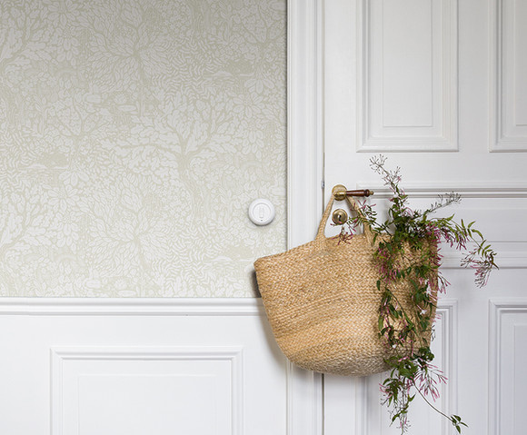 Hjarterum - Olle wit