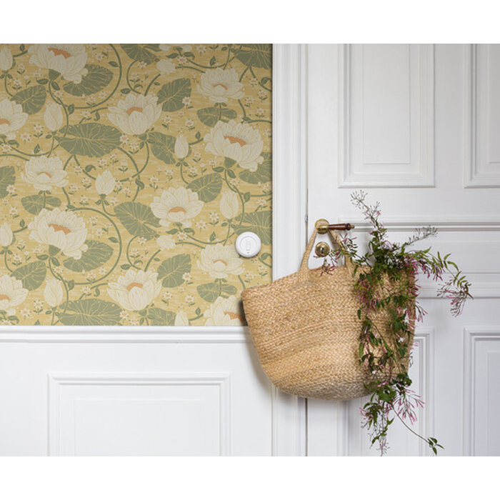 Hjarterum - Eva lichtgeel