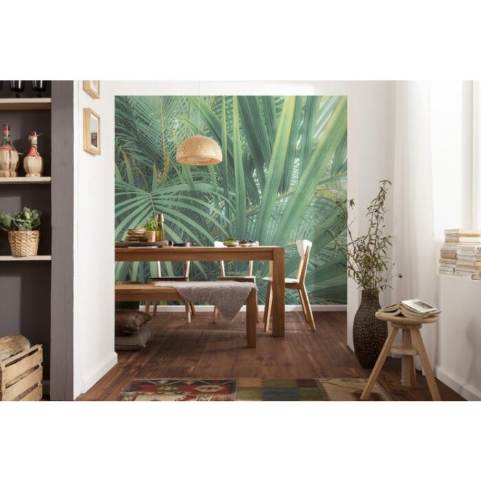 Fotobehang – Foggy Fern