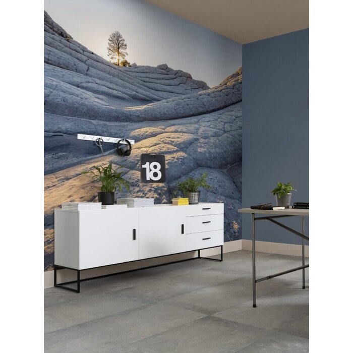 Fotobehang – Elephant Skin