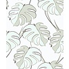 Behang met groene monstera print