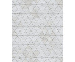 Behang met driehoekjesprint