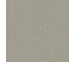 Behang met abstracte organische print