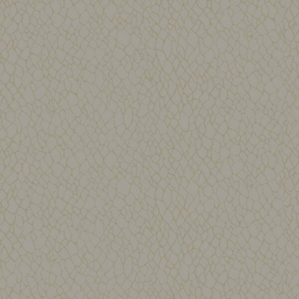 Behang met abstracte organische print