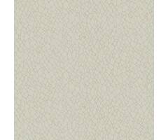 Behang met abstracte organische print