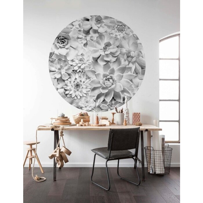 Behangcirkel Echeveria