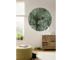Behangcirkel Novel Monstera