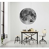 Behangcirkel Moon