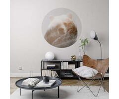 Behangcirkel Bearava