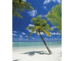 Fotobehang Ari Atoll