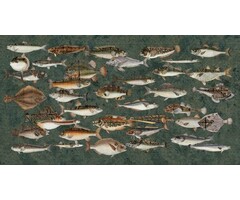 Fotobehang Underwater