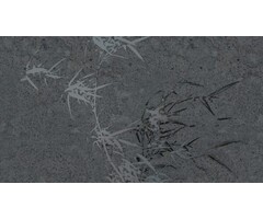 Fotobehang Harmony hues