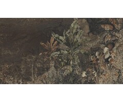 Fotobehang Along the Nile