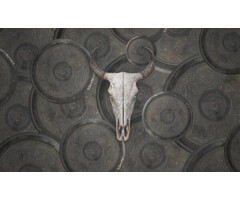 Fotobehang Countryfied 014252