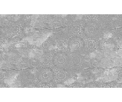 Fotobehang Casablanca 014366