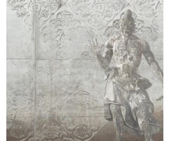 Fotobehang Warrior 014228