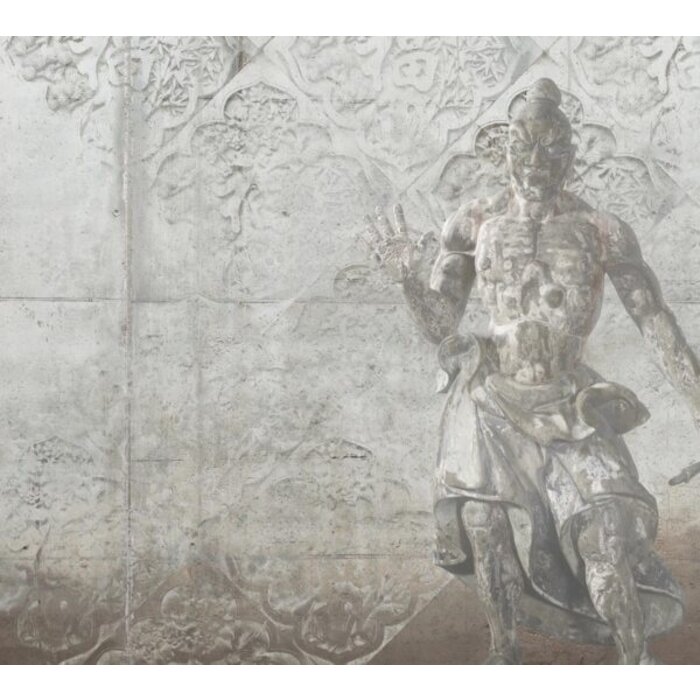 Fotobehang Warrior 014228