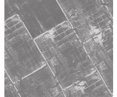 Fotobehang Refined 014358