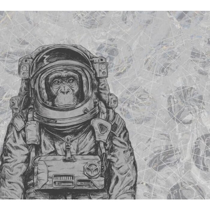 Fotobehang Space Monkey 014214